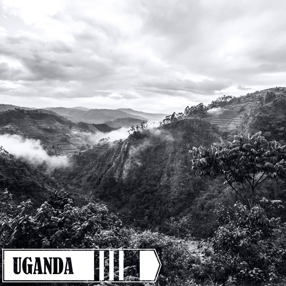 Uganda
